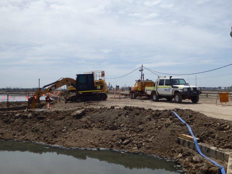 western treatment plant werribee 